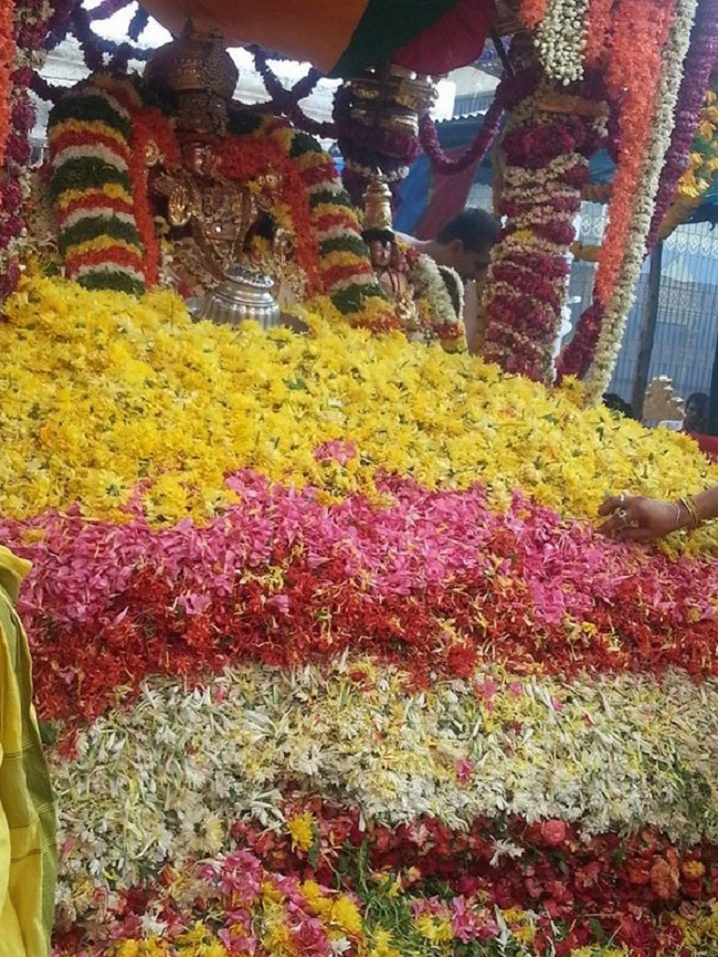 Tirupathi Sri Govindaraja Swamy Temple Pushpa yagam6