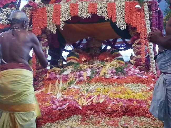 Tirupathi Sri Govindaraja Swamy Temple Pushpa yagam9