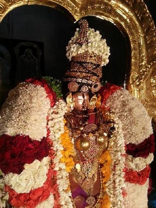 Tirupathi Sri Govindaraja Swamy Temple Thiruvadipooram Utsavam6