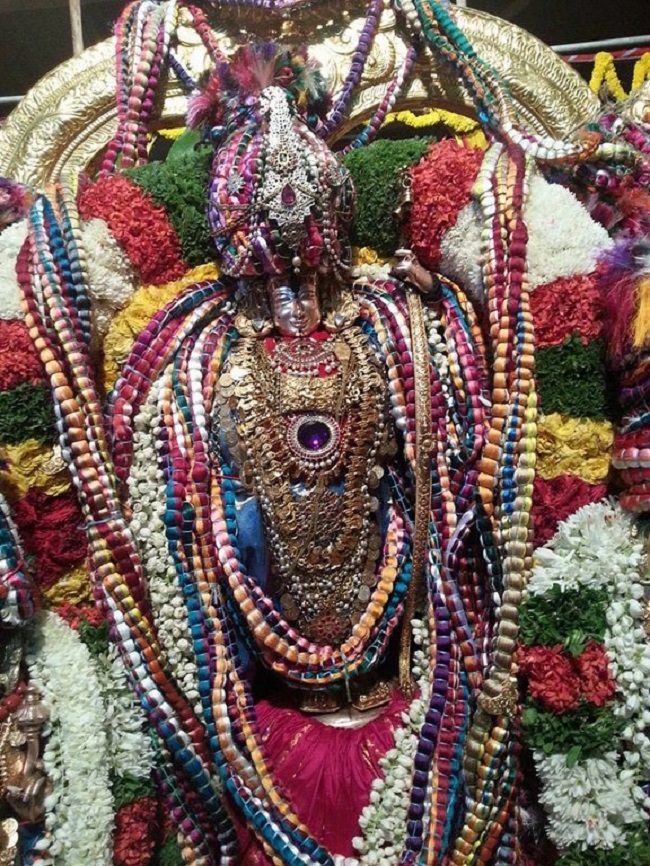 Tirupathi Sri Kothanda Ramar Temple Pavithrotsavam11