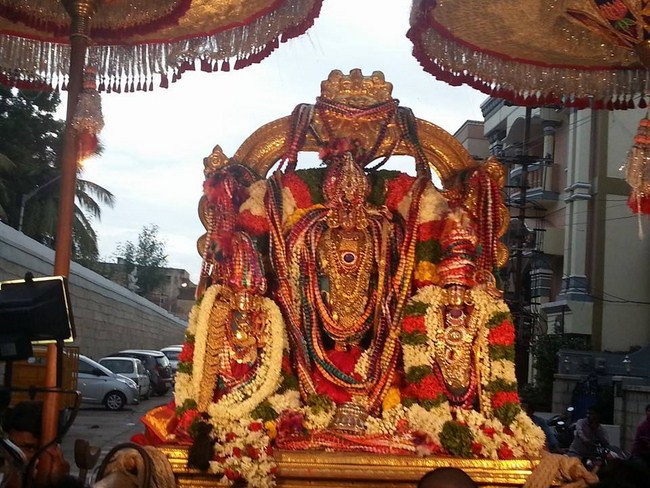 Tirupathi Sri Kothanda Ramar Temple Pavithrotsavam12