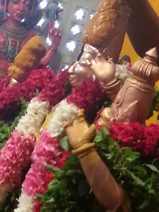 Tirupathi Sri Kothanda Ramar Temple Pavithrotsavam3