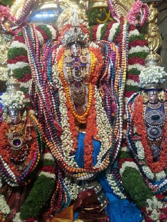 Tirupathi Sri Kothanda Ramar Temple Pavithrotsavam5