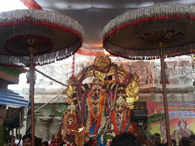 Tirupathi Sri Kothanda Ramar Temple Pavithrotsavam6