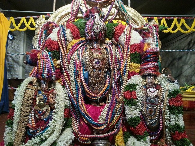 Tirupathi Sri Kothanda Ramar Temple Pavithrotsavam7