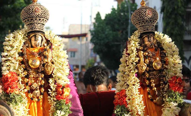 Triplicane Sri Parthasarathy Perumal Temple Kodai Utsavam day 7 2014 04