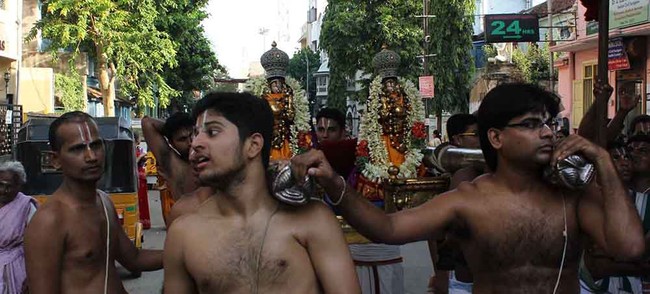 Triplicane Sri Parthasarathy Perumal Temple Kodai Utsavam day 7 2014 05