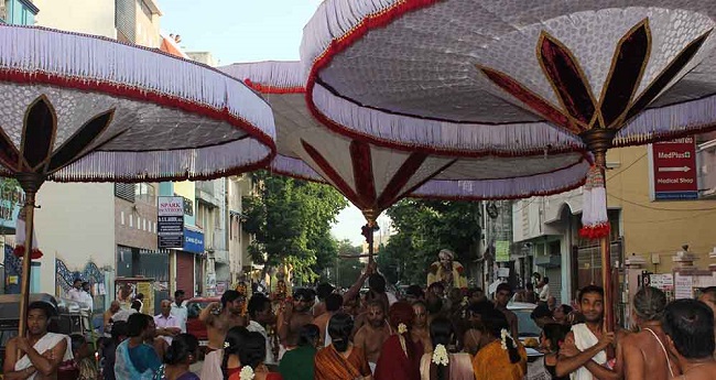 Triplicane Sri Parthasarathy Perumal Temple Kodai Utsavam day 7 2014 06
