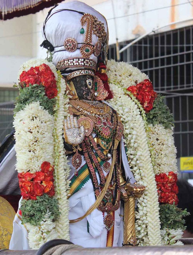 Triplicane Sri Parthasarathy Perumal Temple Kodai Utsavam day 7 2014 10