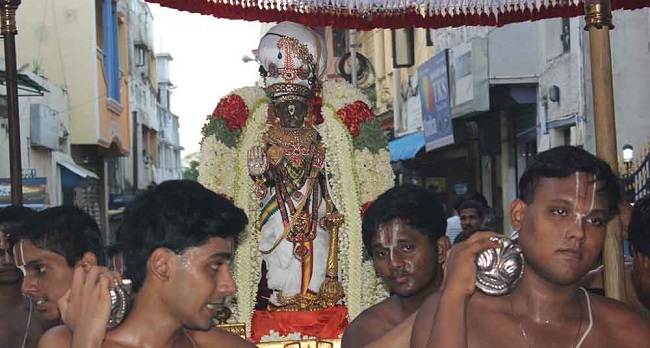 Triplicane Sri Parthasarathy Perumal Temple Kodai Utsavam day 7 2014 12