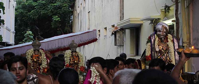 Triplicane Sri Parthasarathy Perumal Temple Kodai Utsavam day 7 2014 13