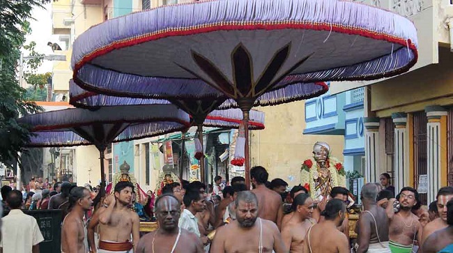 Triplicane Sri Parthasarathy Perumal Temple Kodai Utsavam day 7 2014 14