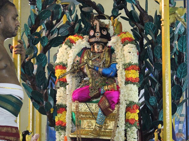 Triplicane Sri Parthasarathy Perumal Temple Thelliyasingar Brahmotsavam day 1 Evening 2014 3