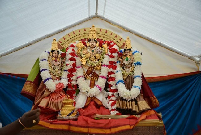 US Aurora Sri Venkateswara Temple Theppotsavam 2014 07