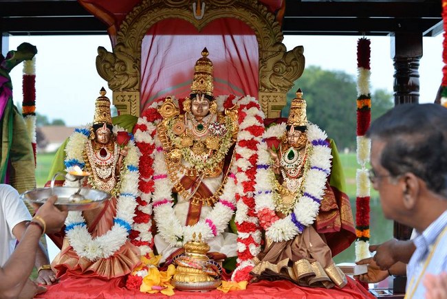 US Aurora Sri Venkateswara Temple Theppotsavam 2014 26