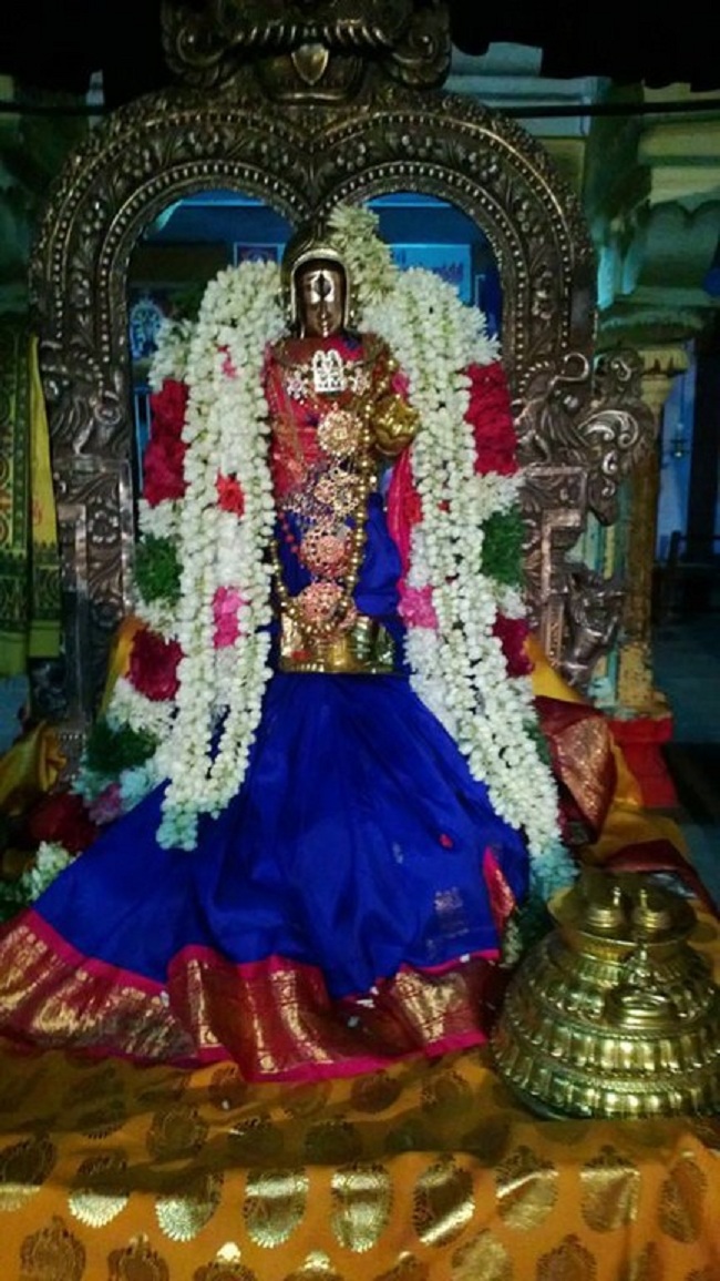 Vanamamalai Sri Deivanayaga Perumal Temple Thiruvadipooram Utsavam2