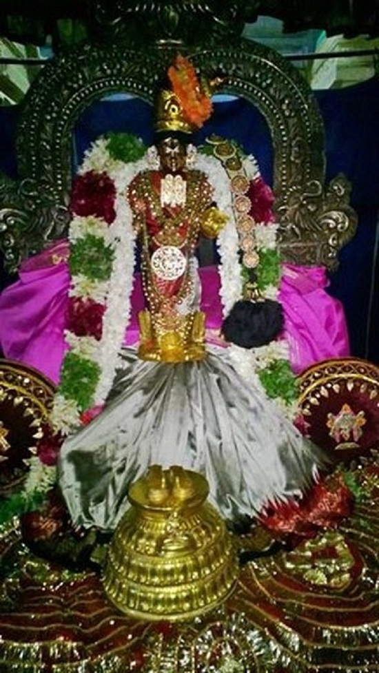 Vanamamalai Sri Deivanayaga Perumal Temple Thiruvadipooram Utsavam2
