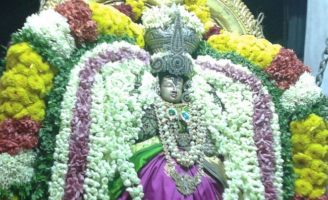 Villivakkam Sri Amirdhavalli Thayar Aadi Vellikizhamai Purappadu 2014 3