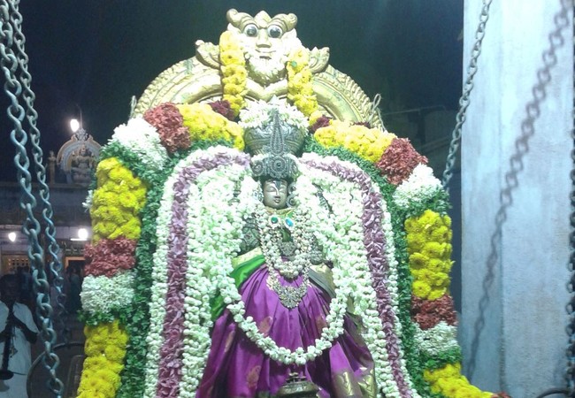 Villivakkam Sri Amirdhavalli Thayar Aadi Vellikizhamai Purappadu 2014 4
