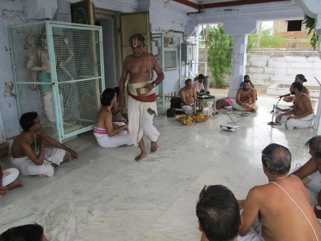 karunaagaran swamy sathas at rajapalayam (80)