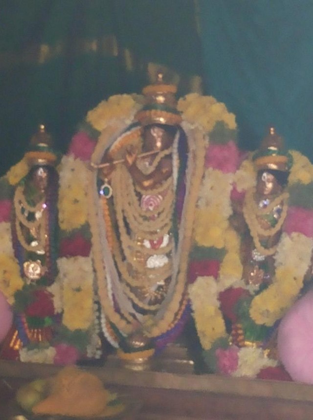 Alathur Sri Venugopalaswami Temple Pavithrotsavam day 2 2014 7
