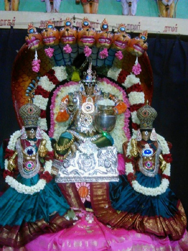 Alwarpet Sri Kothandaramar Temple Krishna Jayanthi Utsavam10