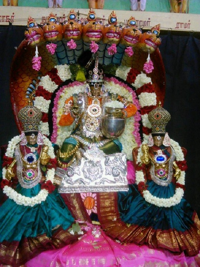 Alwarpet Sri Kothandaramar Temple Krishna Jayanthi Utsavam12