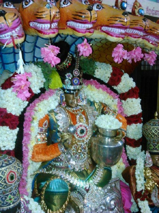 Alwarpet Sri Kothandaramar Temple Krishna Jayanthi Utsavam14