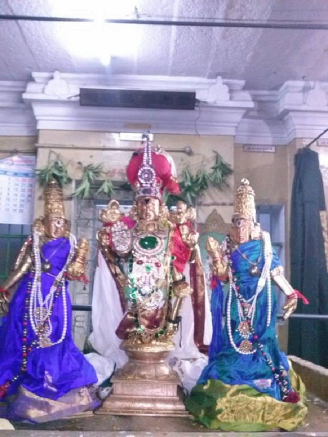 Aminjikarai Sri Perundevi Thayar Aadi Vellikizhamai Purappadu13