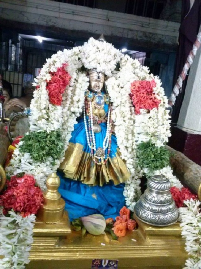 Aminjikarai Sri Perundevi Thayar Aadi Vellikizhamai Purappadu17