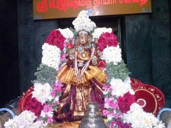 Aminjikarai Sri Perundevi Thayar Aadi Vellikizhamai Purappadu6