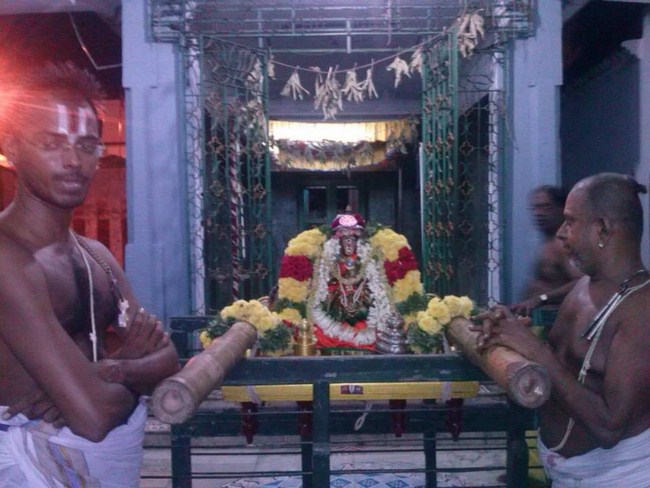 Aminjikarai Sri Perundevi Thayar Vellikizhamai Purappadu15