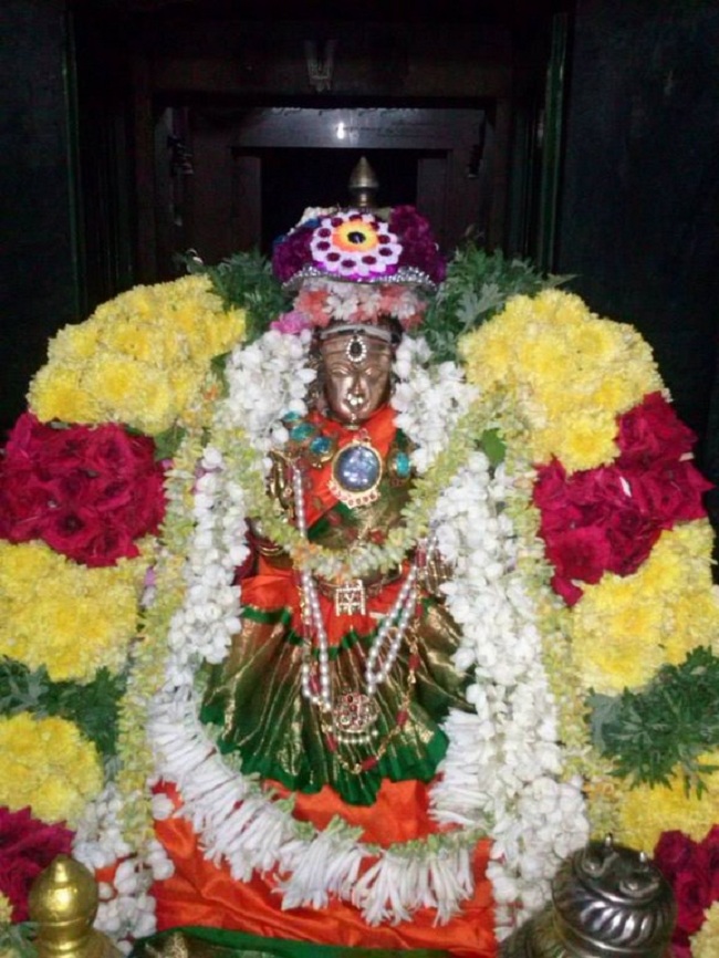 Aminjikarai Sri Perundevi Thayar Vellikizhamai Purappadu20