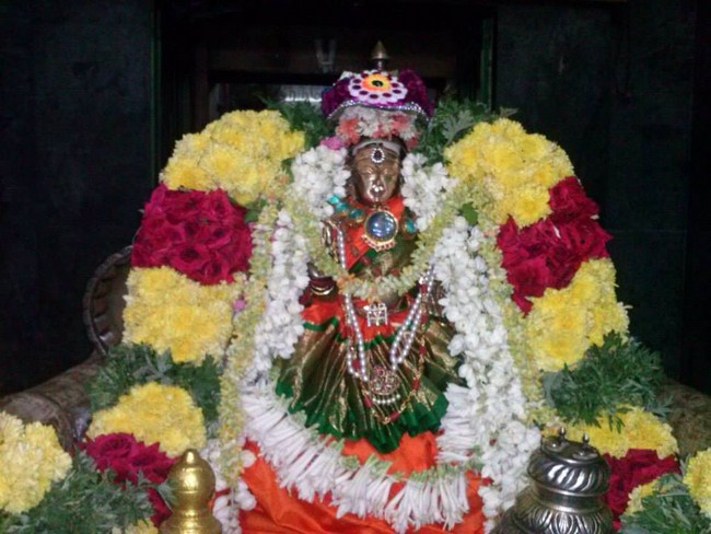 Aminjikarai Sri Perundevi Thayar Vellikizhamai Purappadu3