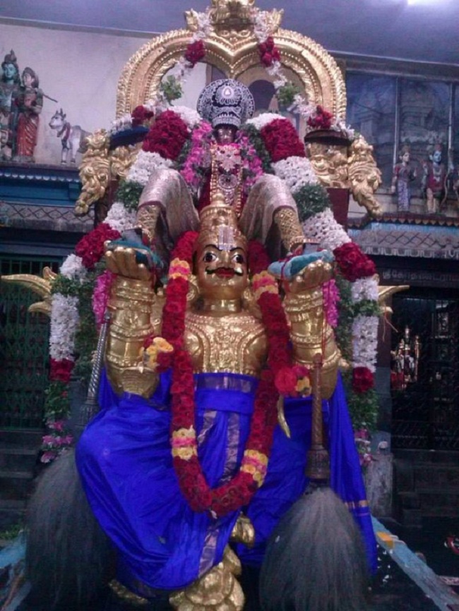Aminjikarai Sri Prasanna Varadharaja Perumal Temple Aadi Garudan13