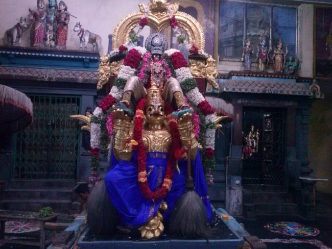 Aminjikarai Sri Prasanna Varadharaja Perumal Temple Aadi Garudan15