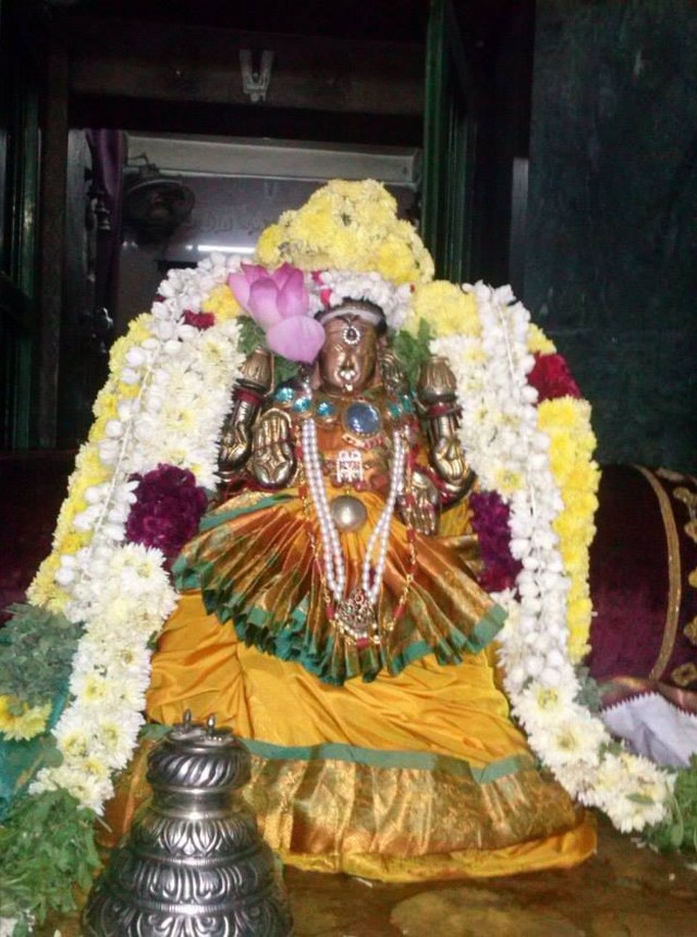 Aminjikarai Sri Varadaraja Perumal Avani Vellikizhamai Purappadu 2014 07