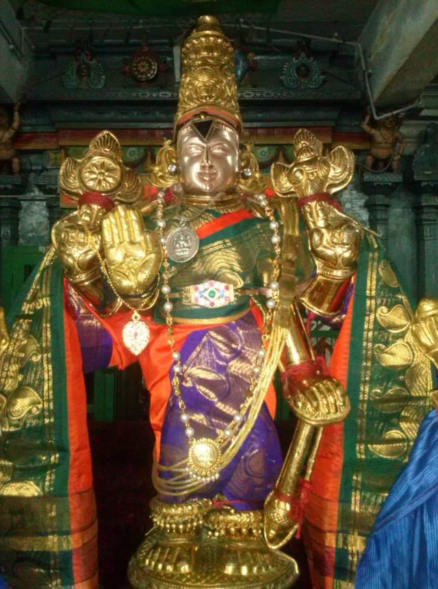 Aminjikarai Sri Varadaraja Perumal Avani Vellikizhamai Purappadu 2014 08