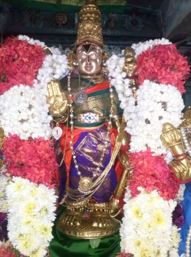 Aminjikarai Sri Varadaraja Perumal Avani Vellikizhamai Purappadu 2014 09