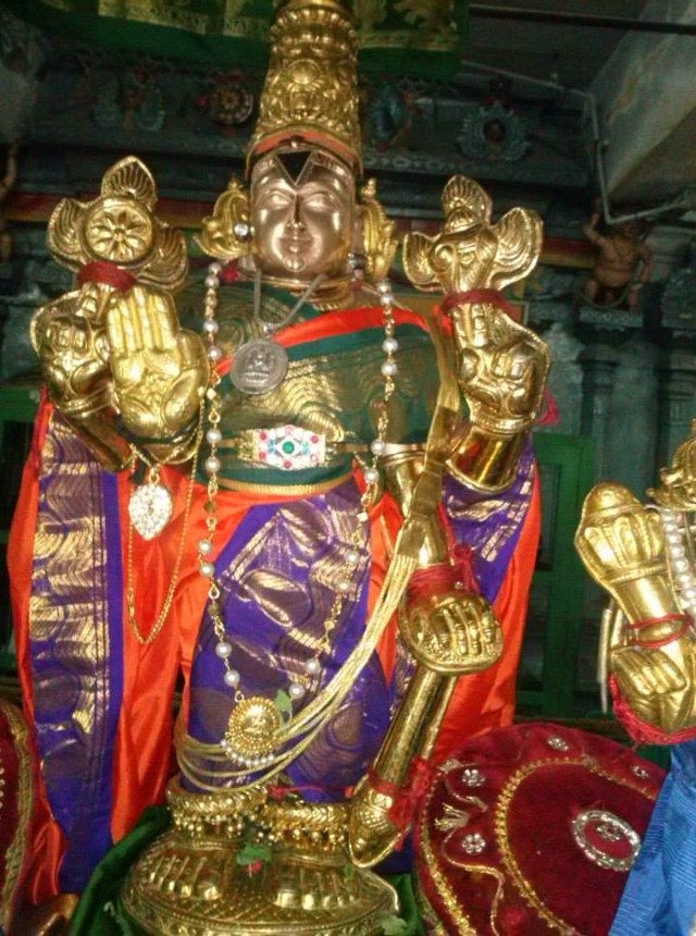 Aminjikarai Sri Varadaraja Perumal Avani Vellikizhamai Purappadu 2014 13