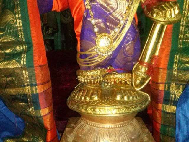 Aminjikarai Sri Varadaraja Perumal Avani Vellikizhamai Purappadu 2014 14