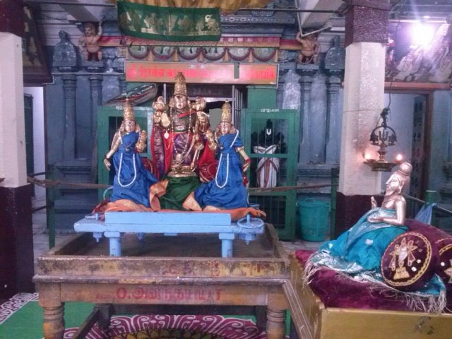 Aminjikarai Sri Varadaraja Perumal Avani Vellikizhamai Purappadu 2014 20