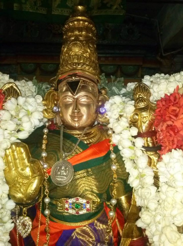 Aminjikarai Sri Varadaraja Perumal Avani Vellikizhamai Purappadu 2014 22
