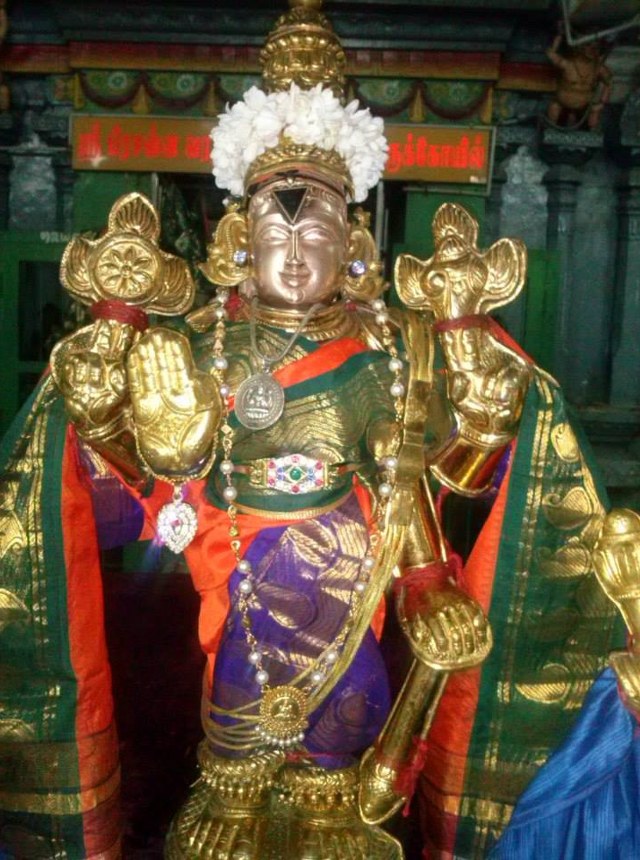 Aminjikarai Sri Varadaraja Perumal Avani Vellikizhamai Purappadu 2014 23
