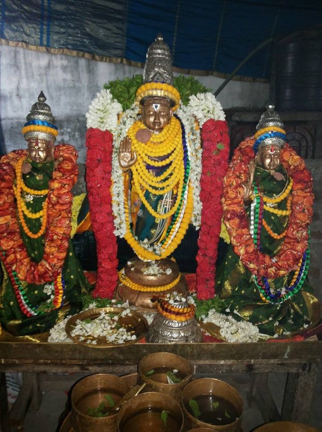 Ammoor Sri Adhikesava Perumal Temple Thirupavithrotsavam Utsavam 2014 10