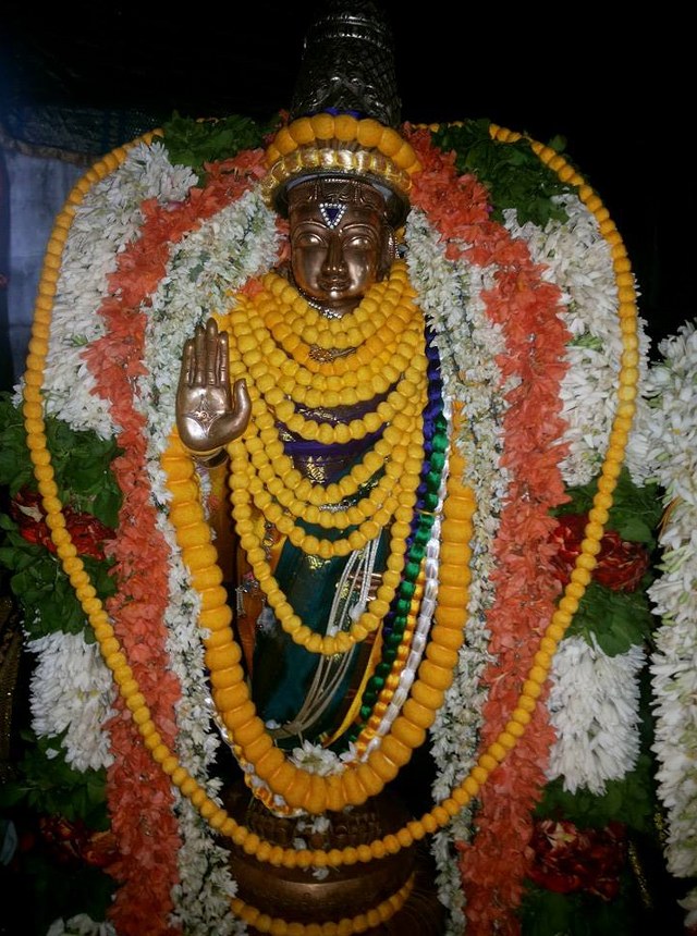 Ammoor Sri Adhikesava Perumal Temple Thirupavithrotsavam Utsavam 2014 13