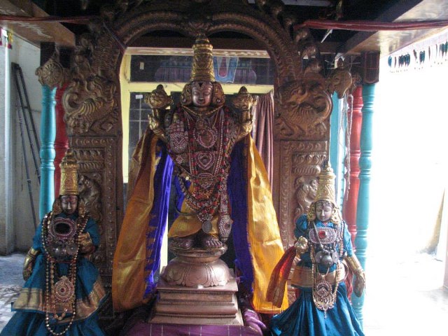 Arumbakkam Sri Satya vardaraja Perumal Temple pavithrotsavam day 1 mor 2014 12