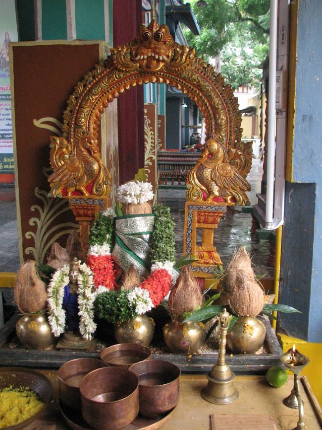 Arumbakkam Sri Satya vardaraja Perumal Temple pavithrotsavam day 1 mor 2014 17