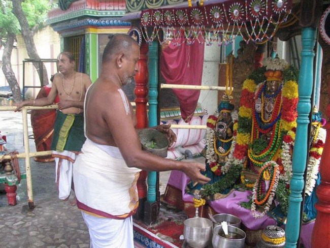 Arumbakkam Sri Satyavaradaraja Perumal Temple Pavithrotsavam Concludes8