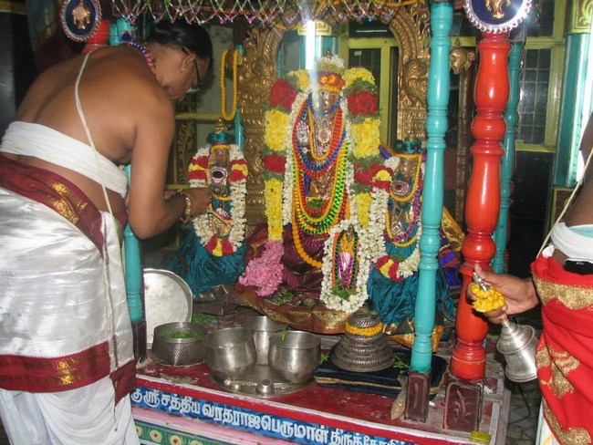 Arumbakkam Sri Satyavaradaraja Perumal Temple Pavithrotsavam15